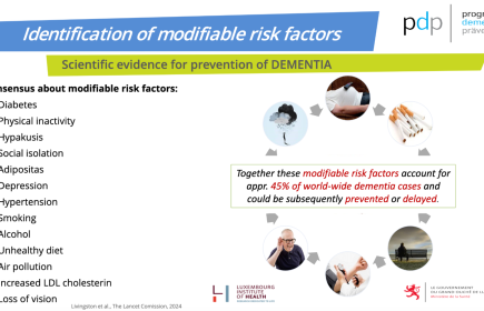 pdp - programm demenz präventioun